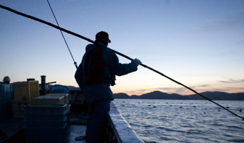 長崎県五島列島での漁
